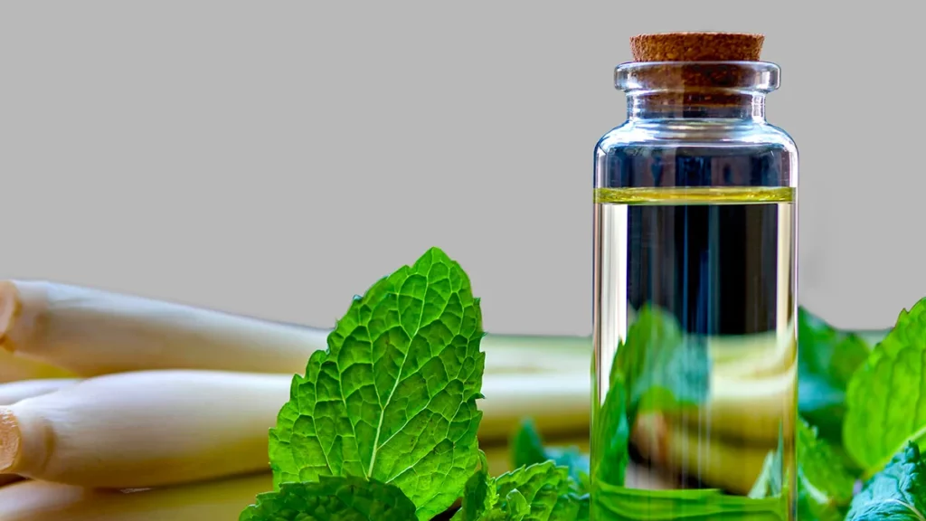 Flavor Focus Organic Spearmint Lemongrass
