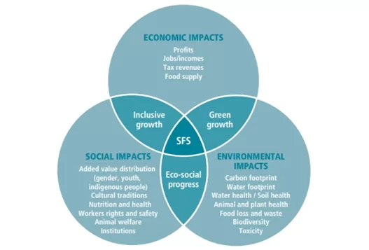 Figure 1 Sustainability in Food Systems SFS img