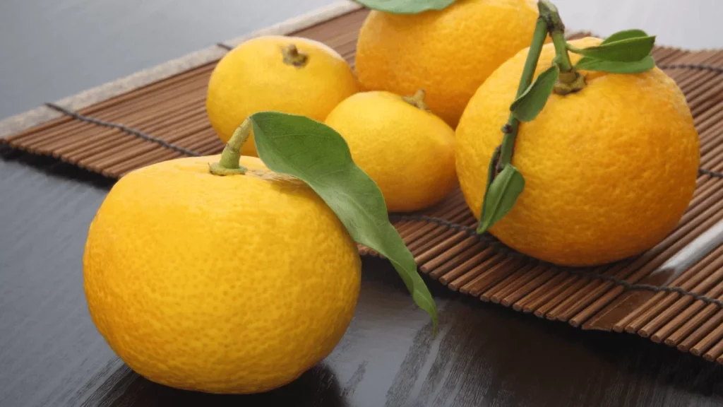 WordPress Dim Yuzu