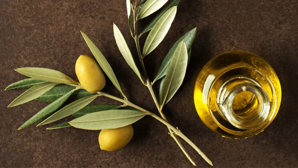 WordPress Dim Olive Oil