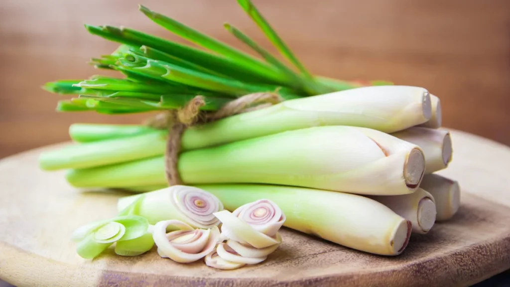 WordPress Dim Lemongrass