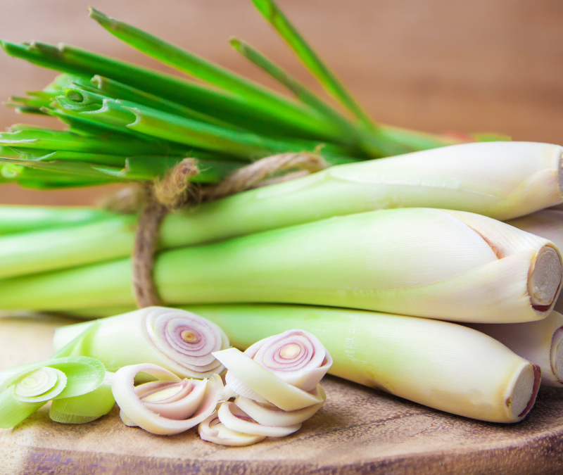 WordPress Dim Lemongrass