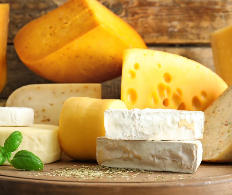 WordPress Dim cheese market trends pt 1
