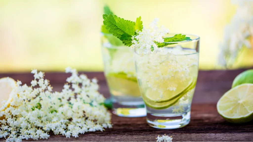 WordPress Dim Floral Flavors Blog