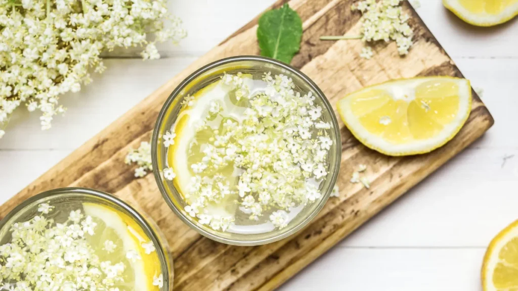WordPress Dim Elderflower Flavor Focus 1