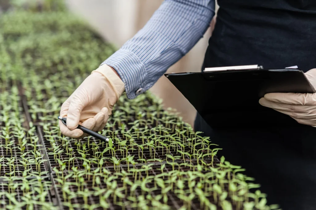 A Flavor Chemists Perspective Plant Based Challenges and Opportunities