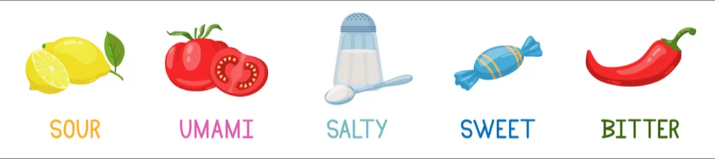 Innovations in Flavor Enhancement img