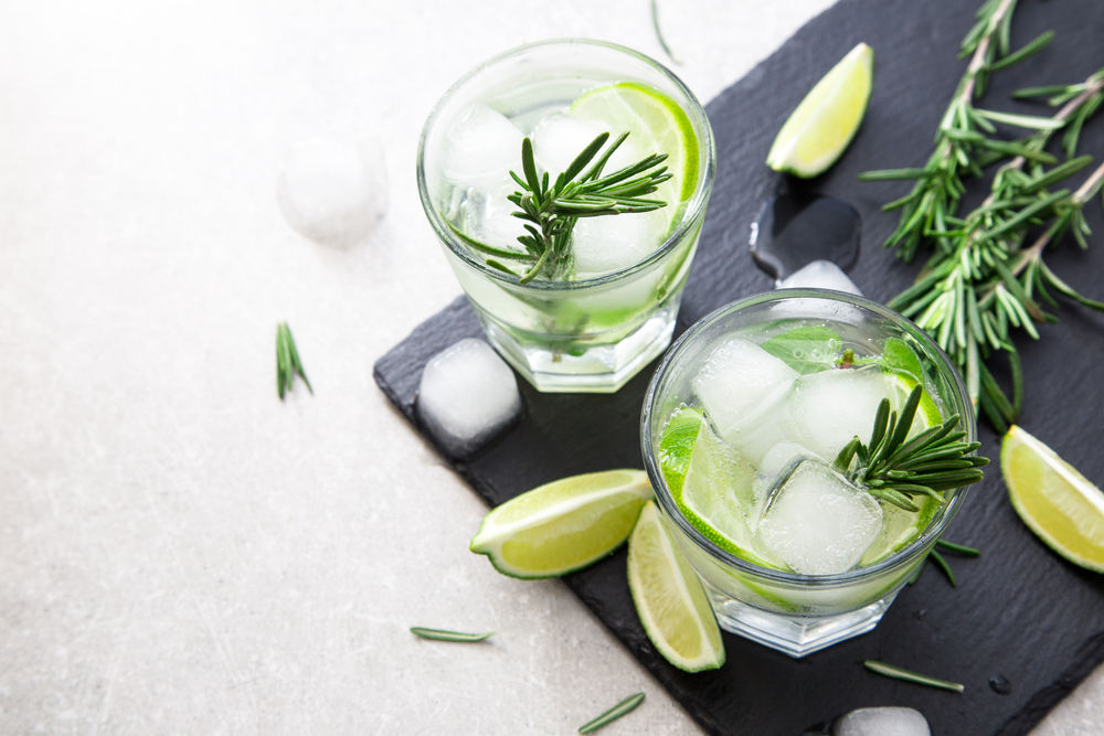 Creative Citrus Gin and Tonic Flavor