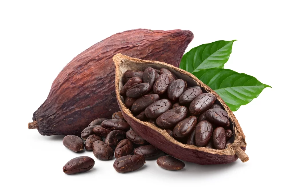 The Future of Flavor Innovation in Health Foods img