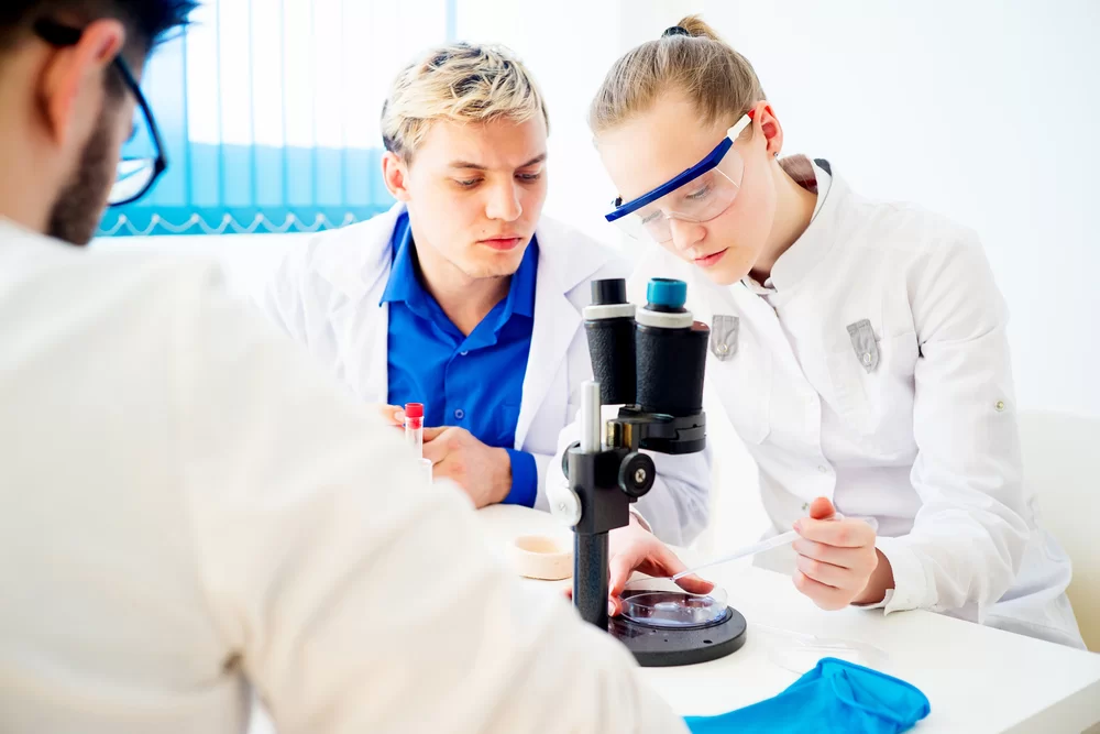 How Flavor Profiles Are Created in Food and Beverage Industries