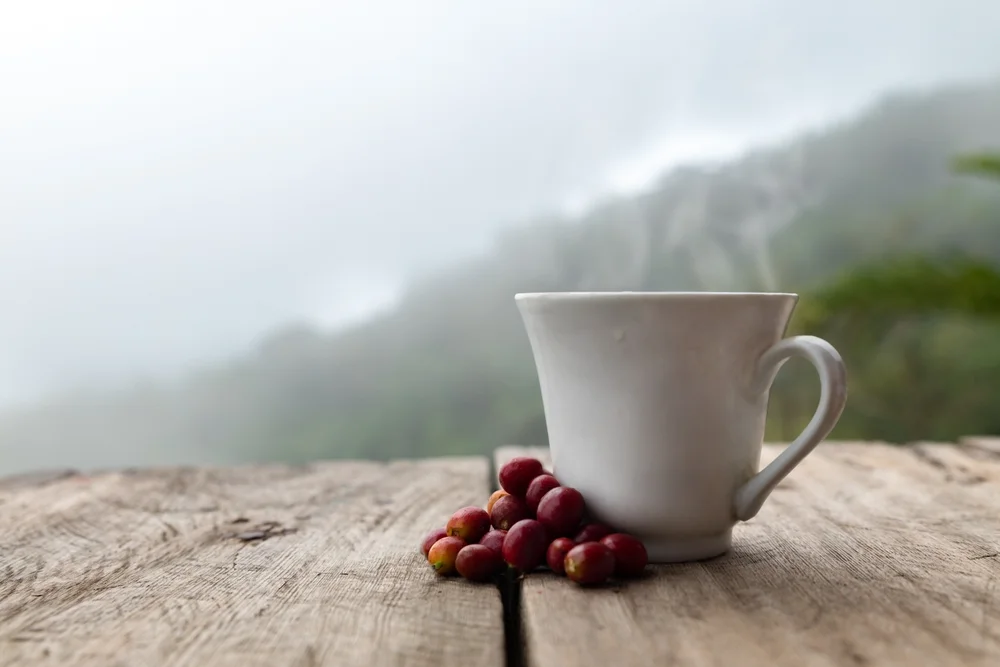 Sustainability Initiatives in the Flavor Industry img