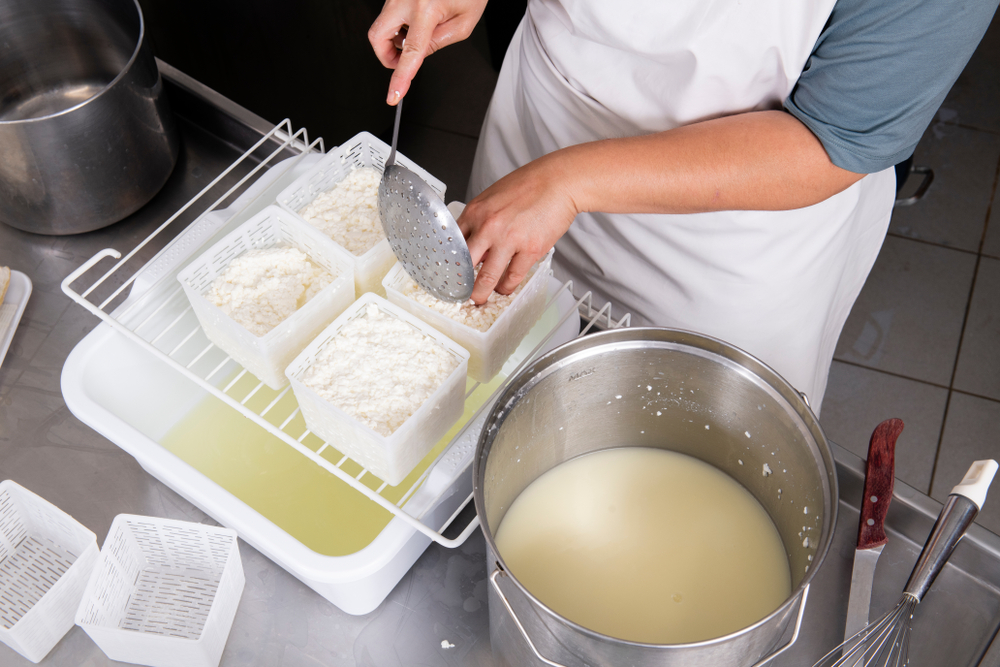 Artisanal Cheesemaker at work 