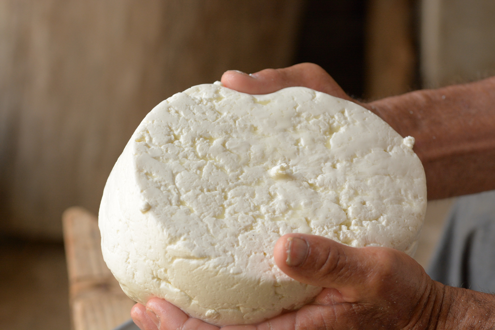 artisinal cheese ready for drying and seasoning