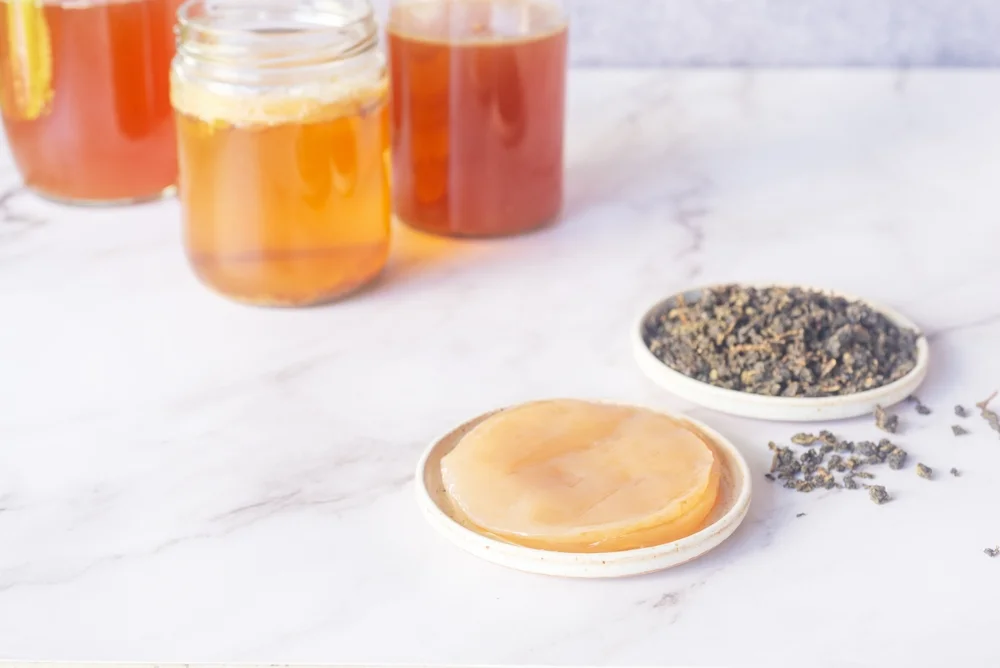 The Basics of Kombucha Fermentation img