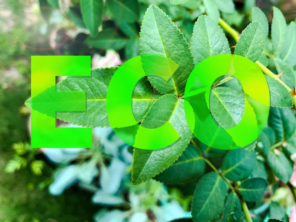 Sustainability and Ethical Sourcing img