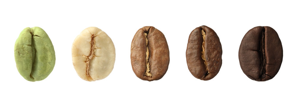 Stages of roasting coffee beans