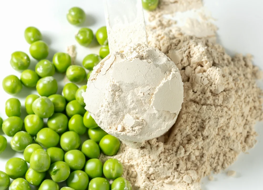 The Challenge of Protein Taste img