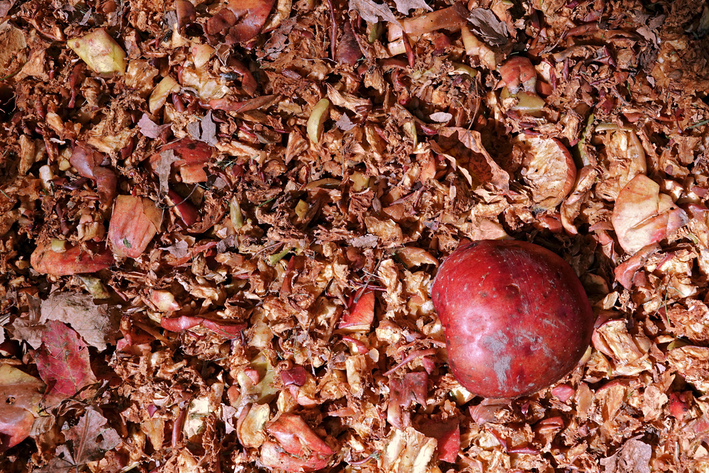 Apple Pomace