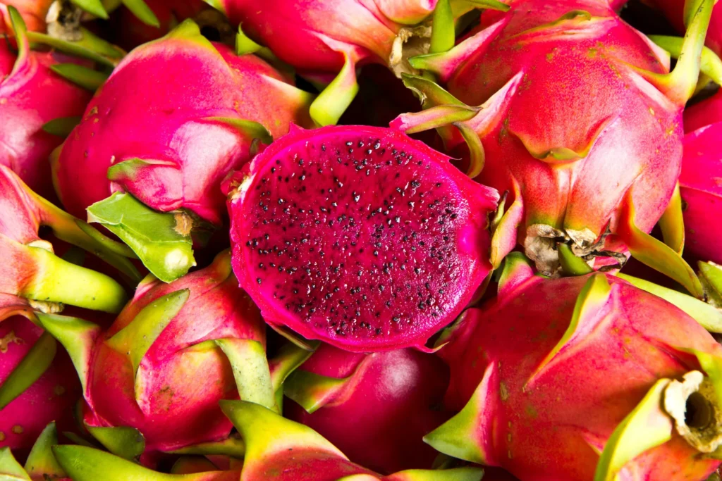 Exotic and Global Inspirations img