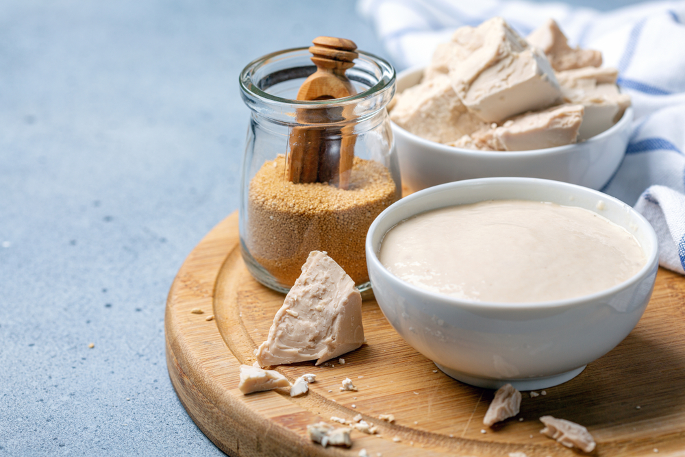 Fermentation Dry instant and fresh pressed yeast