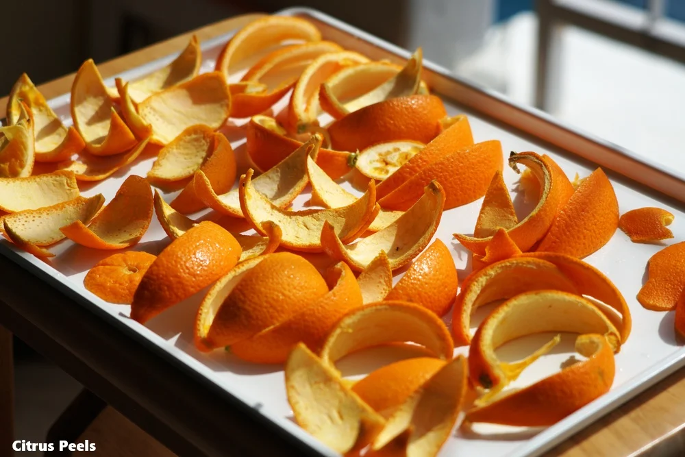 The Role of Natural Flavor Enhancers in Reducing Waste img