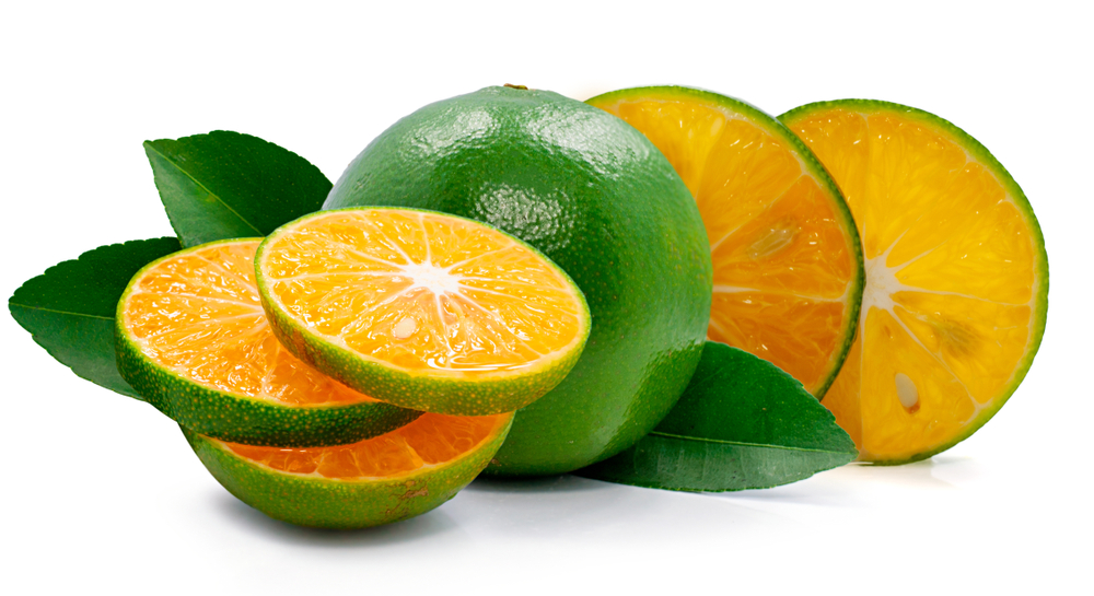 Calamansi or Green orange fruits 