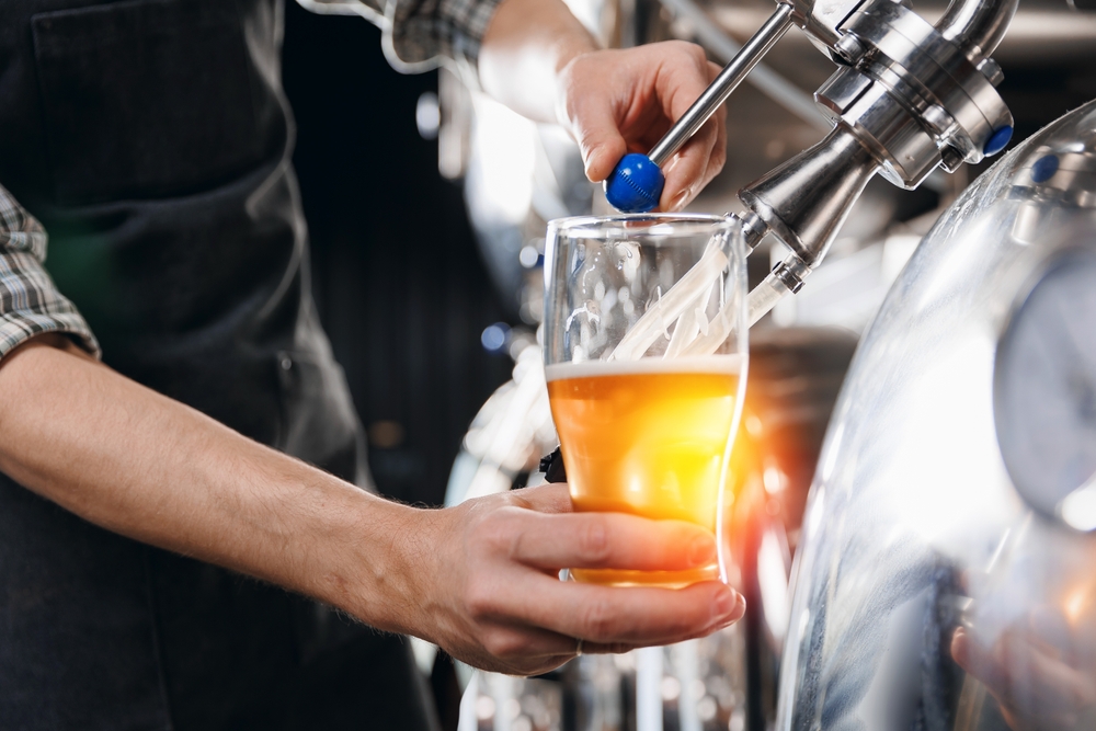Expert brewer in apron holds glass and control quality of craft beer