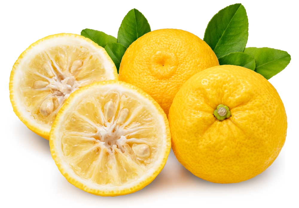 Fresh Sweet Yuzu Orange fruit