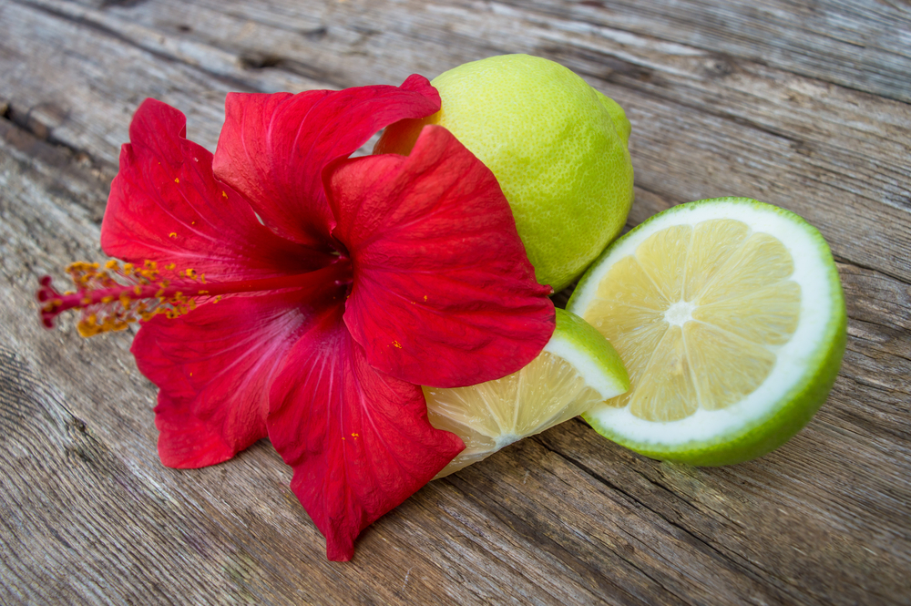 Red hibiscus and green juicy limes 