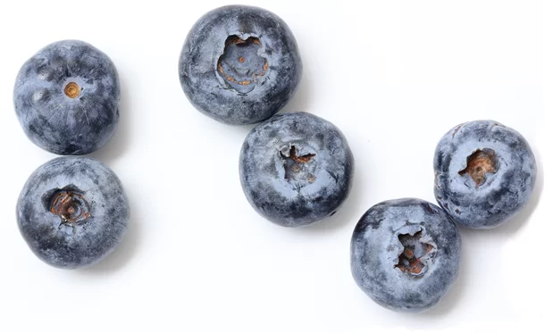 Natural Extracts and Flavors
