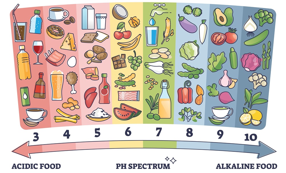 Acidic vs alkaline eating foods meal examples on PH spectrum outline diagram