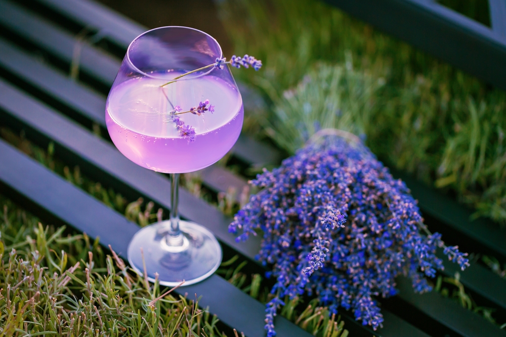 Lavender flowers and summer cocktail