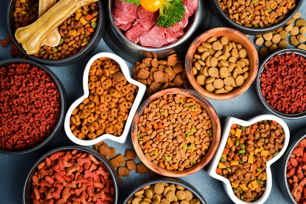Dry pet food with natural ingredients. Raw meat in a bowl for pets. shutterstock 2527826927