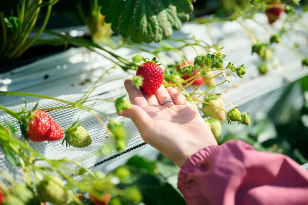 shutterstock 2612091611 1536x1024 1